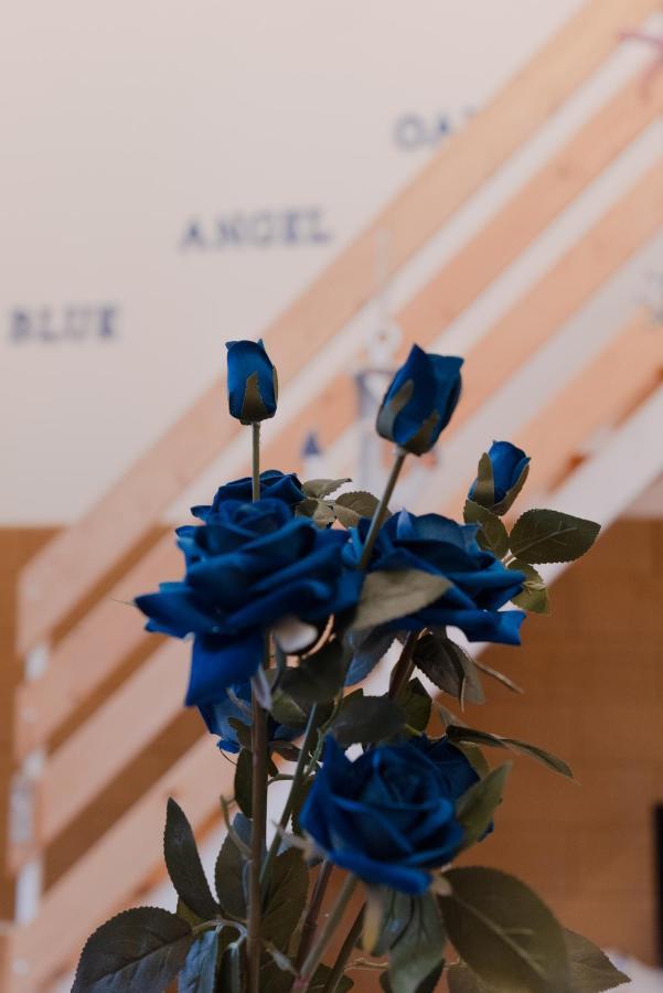 Blue Angel Oak - Apartment バーリ エクステリア 写真